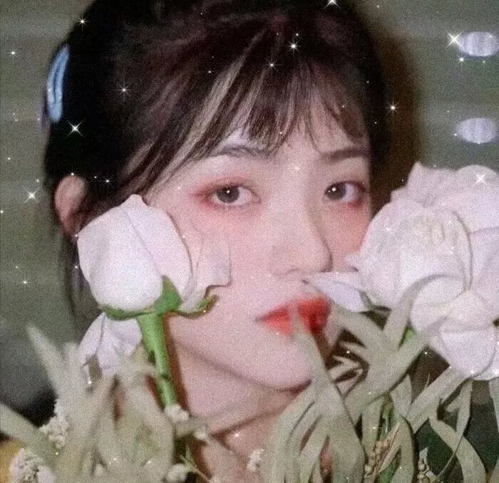 单骑悍盗