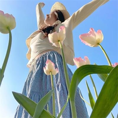 蒂科与鲨鱼